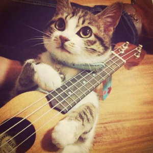 vk茶茶的脚底板|VK
